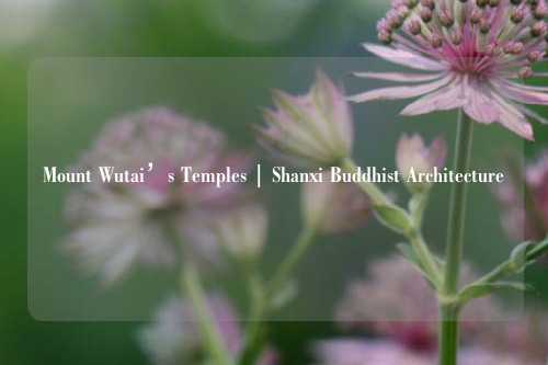 Mount Wutai’s Temples | Shanxi Buddhist Architecture