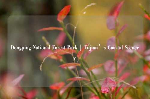 Dongping National Forest Park | Fujian’s Coastal Scenery