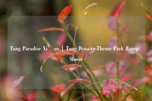 Tang Paradise Xi’an | Tang Dynasty Theme Park & Shows