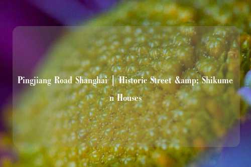 Pingjiang Road Shanghai | Historic Street & Shikumen Houses