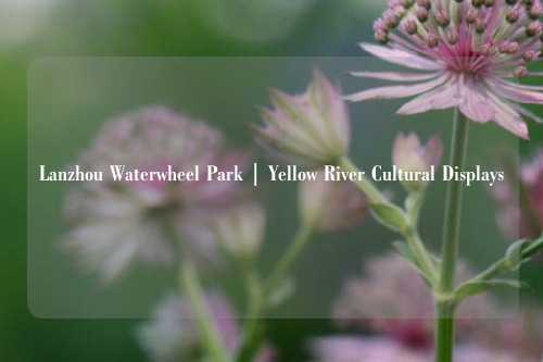 Lanzhou Waterwheel Park | Yellow River Cultural Displays
