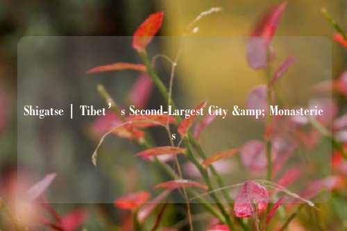 Shigatse | Tibet’s Second-Largest City & Monasteries