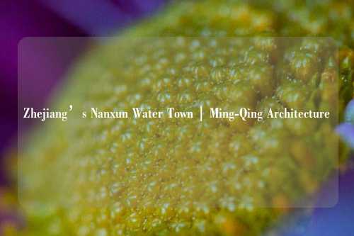 Zhejiang’s Nanxun Water Town | Ming-Qing Architecture