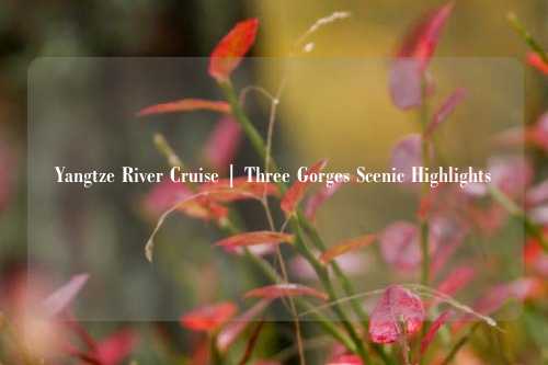 Yangtze River Cruise | Three Gorges Scenic Highlights