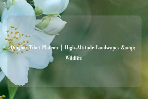 Qinghai-Tibet Plateau | High-Altitude Landscapes & Wildlife