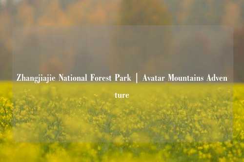 Zhangjiajie National Forest Park | Avatar Mountains Adventure