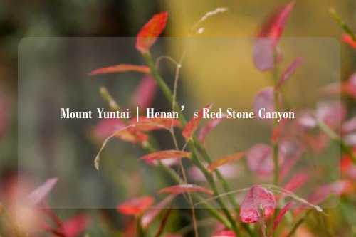 Mount Yuntai | Henan’s Red Stone Canyon