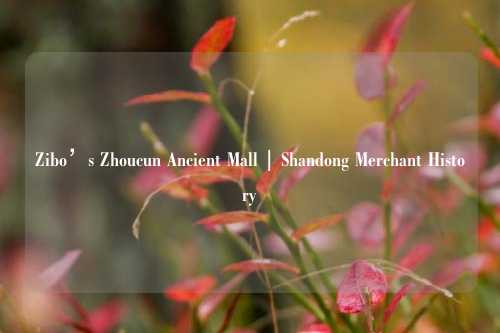 Zibo’s Zhoucun Ancient Mall | Shandong Merchant History