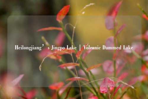 Heilongjiang’s Jingpo Lake | Volcanic Dammed Lake