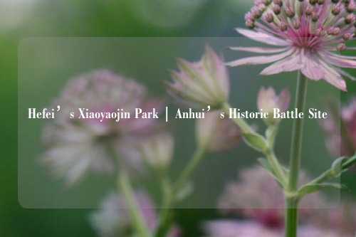 Hefei’s Xiaoyaojin Park | Anhui’s Historic Battle Site