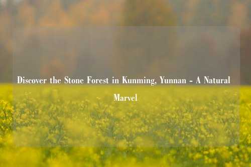 Discover the Stone Forest in Kunming, Yunnan - A Natural Marvel