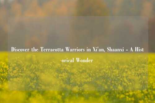 Discover the Terracotta Warriors in Xi'an, Shaanxi - A Historical Wonder