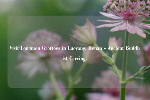 Visit Longmen Grottoes in Luoyang, Henan - Ancient Buddhist Carvings