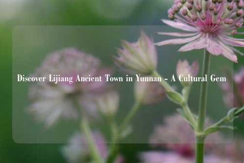 Discover Lijiang Ancient Town in Yunnan - A Cultural Gem