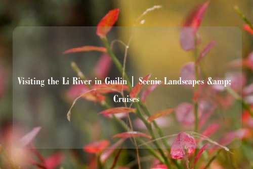 Visiting the Li River in Guilin | Scenic Landscapes & Cruises
