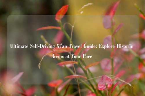Ultimate Self-Driving Xi'an Travel Guide: Explore Historic Gems at Your Pace